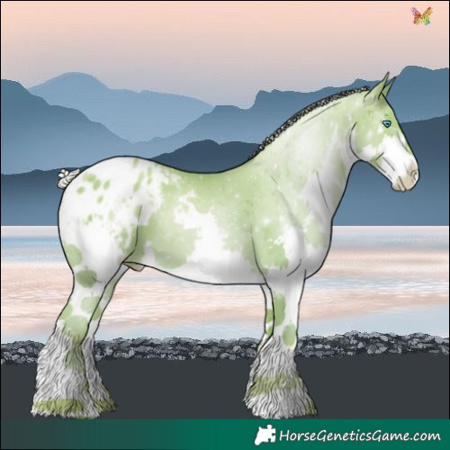 Horse Color:Watercolor Silver Sable Cream Champagne Pearl Splash Varnish 