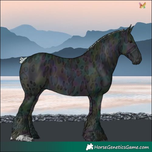 Horse Color:Watercolor Midnight Silver Buckskin Ice Onyx