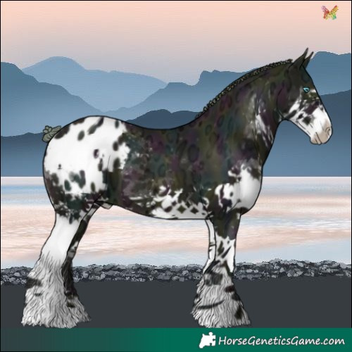 Horse Color:Watercolor Midnight Brown Ice Pearl Splash Varnish 