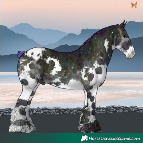 Horse Color:Watercolor Midnight Sable Champagne Ice Onyx Splash Varnish 