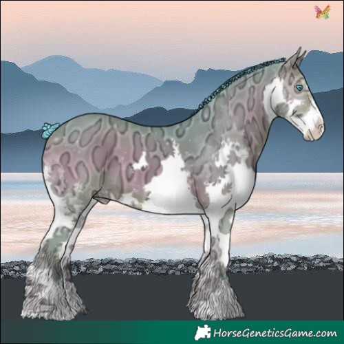 Horse Color:Watercolor Sable Champagne Ice Onyx Splash 