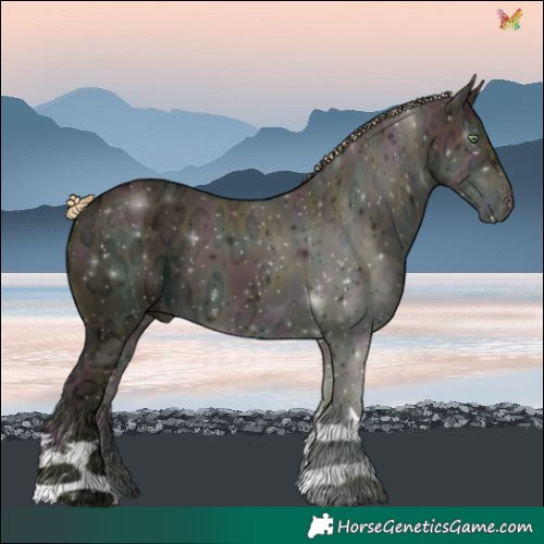 Horse Color:Watercolor Midnight Gold Cream Champagne Ice
