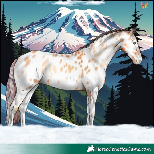 Horse Color:Watercolor Gold Champagne Onyx Splash Near Leopard