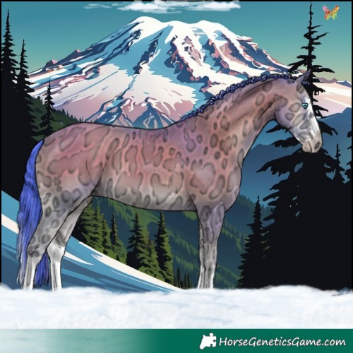 Horse Color:Watercolor Classic Champagne Ice Onyx Splash