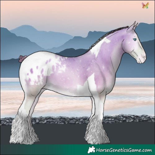 Horse Color:Watercolor Classic Cream Champagne Pearl Onyx Tobiano Blanket
