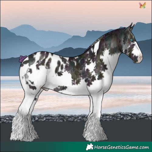Horse Color:Watercolor Midnight Classic Champagne Ice Onyx Splash Tobiano Blanket 
