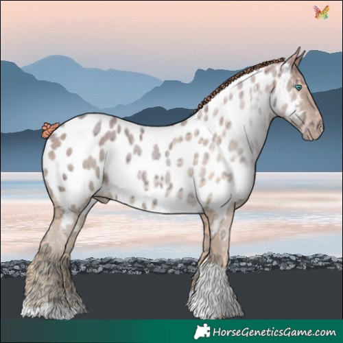 Horse Color:Watercolor Smoky Black Ice Pearl Tobiano Blanket