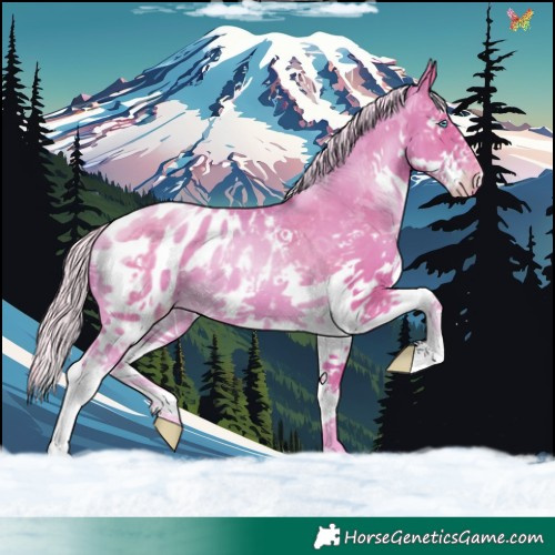Horse Color:Watercolor Gold Cream Champagne Pearl Splash Blanket 
