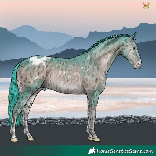 Horse Color:Watercolor Liver Red Onyx Ice Varnish