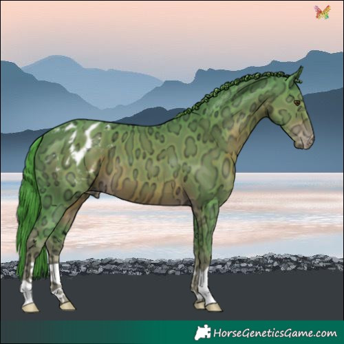 Horse Color:Watercolor Liver Chestnut Ice Varnish