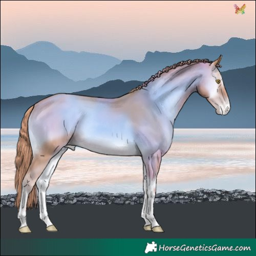 Horse Color:Watercolor Gold Champagne Onyx Varnish