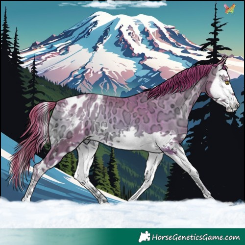 Horse Color:Watercolor Gold Champagne Ice Onyx Splash Blanket
