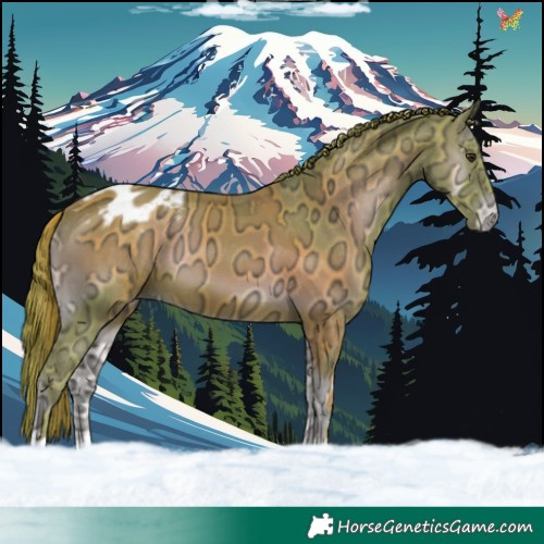 Horse Color:Watercolor Liver Red Onyx Ice Varnish 