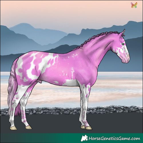 Horse Color:Watercolor Gold Champagne Splash Blanket