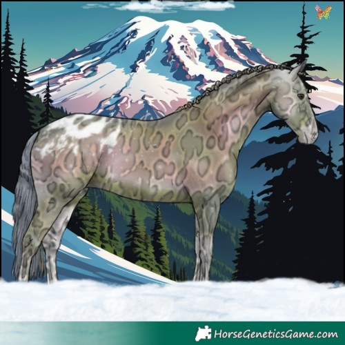 Horse Color:Watercolor Liver Red Onyx Ice Appaloosa