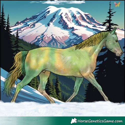 Horse Color:Watercolor Liver Chestnut 