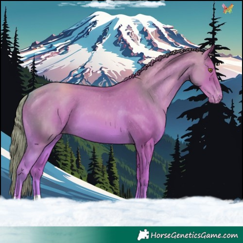 Horse Color:Watercolor Gold Champagne Appaloosa 