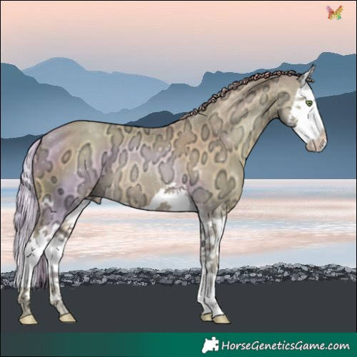 Horse Color:Watercolor Gold Champagne Ice Splash 