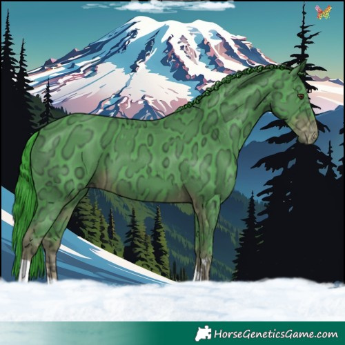 Horse Color:Watercolor Liver Chestnut Ice Varnish
