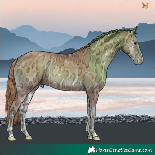 Horse Color:Watercolor Gold Champagne Ice Onyx 