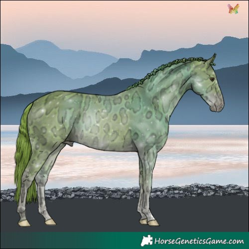 Horse Color:Watercolor Liver Chestnut Ice 