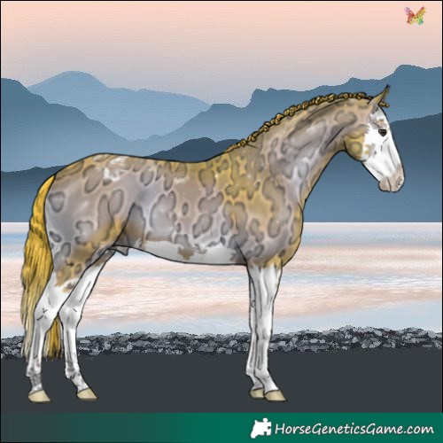 Horse Color:Watercolor Liver Red Onyx Ice Splash Varnish 