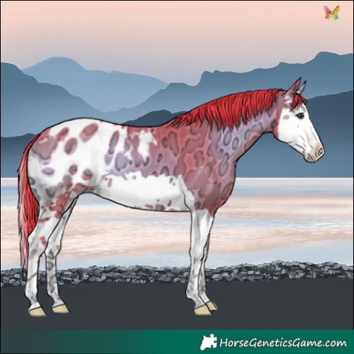 Horse Color:Watercolor Liver Red Onyx Ice Splash Blanket