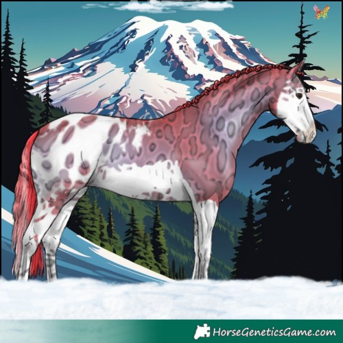 Horse Color:Watercolor Liver Red Onyx Ice Splash Appaloosa