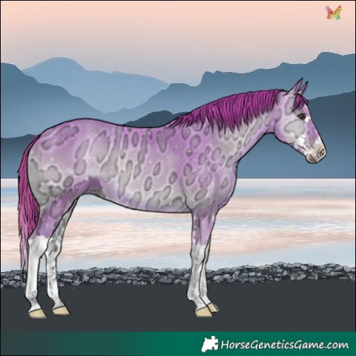 Horse Color:Watercolor Gold Champagne Ice Onyx Splash