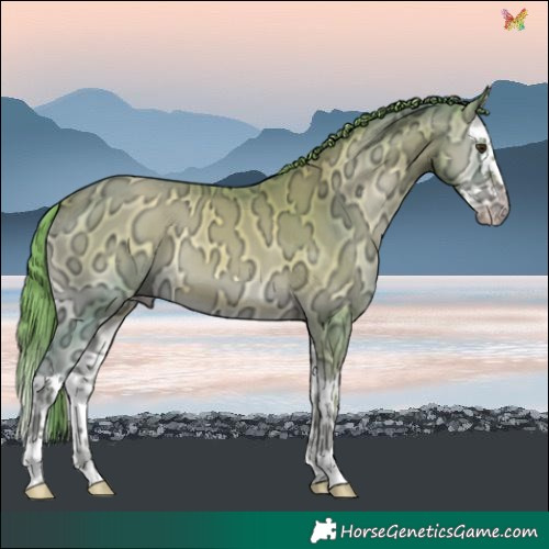 Horse Color:Watercolor Gold Champagne Ice Onyx Splash