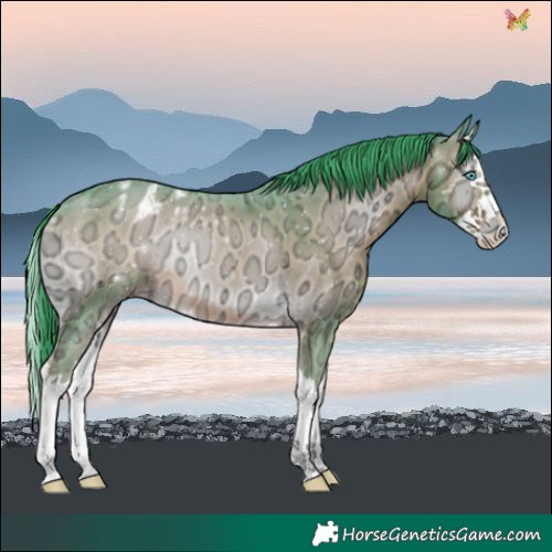 Horse Color:Watercolor Liver Red Onyx Ice Splash Varnish