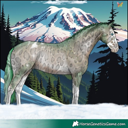 Horse Color:Watercolor Liver Red Onyx Ice Splash Appaloosa 
