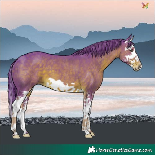 Horse Color:Watercolor Liver Chestnut Splash 