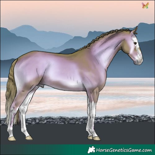 Horse Color:Watercolor Liver Red Onyx Splash