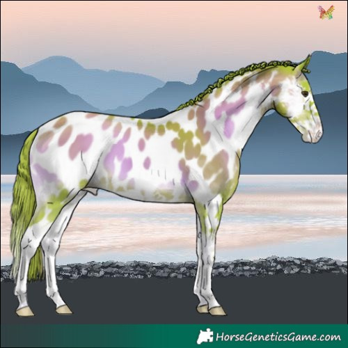Horse Color:Watercolor Gold Champagne Onyx Splash Near Leopard 