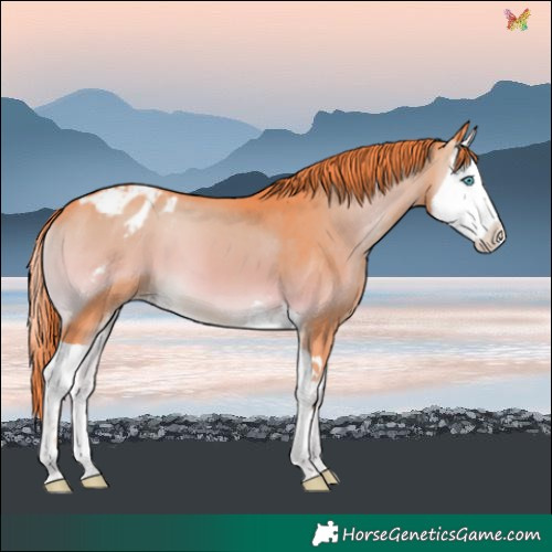 Horse Color:Watercolor Liver Red Onyx Splash Blanket 