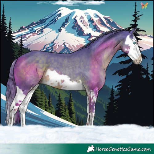 Horse Color:Watercolor Liver Chestnut Splash 