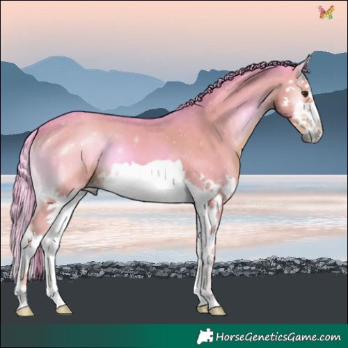 Horse Color:Watercolor Liver Red Onyx Splash