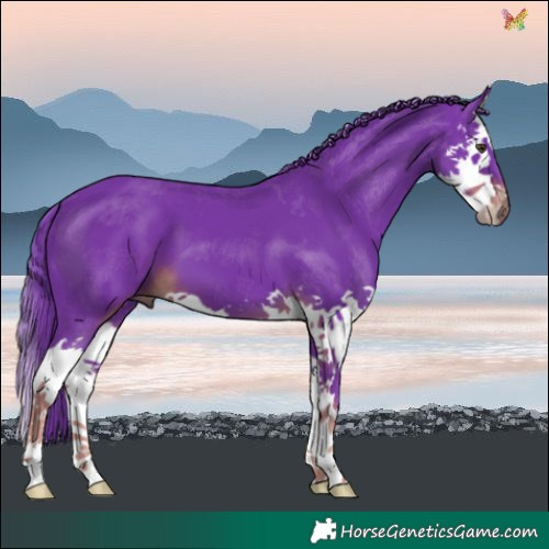 Horse Color:Watercolor Liver Chestnut Splash
