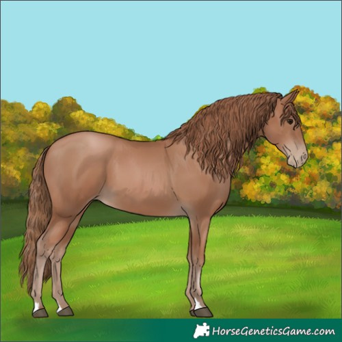 Horse Color:Black Pearl 