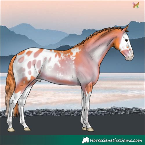 Horse Color:Watercolor Liver Red Onyx Splash Near Leopard 