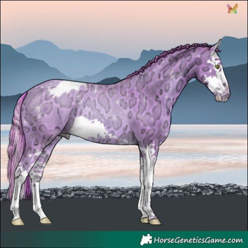 Horse Color:Watercolor Gold Champagne Ice Splash Varnish