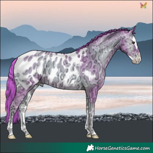 Horse Color:Watercolor Gold Champagne Ice Onyx Splash Near Leopard