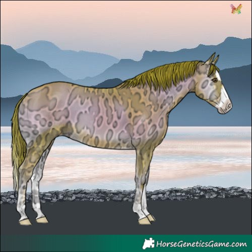 Horse Color:Watercolor Gold Champagne Ice Onyx Splash