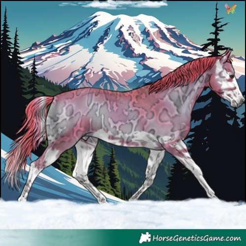 Horse Color:Watercolor Liver Red Onyx Ice Splash