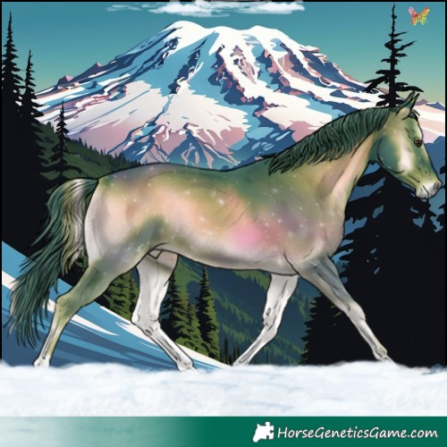 Horse Color:Watercolor Liver Red Onyx