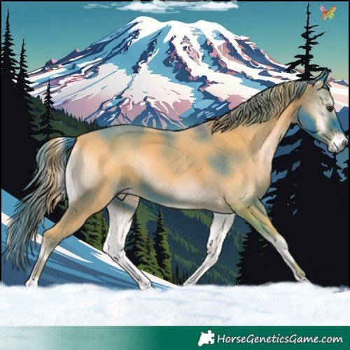 Horse Color:Watercolor Liver Red Onyx