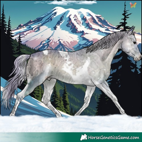 Horse Color:Watercolor Silver Blue Onyx Ice Tobiano