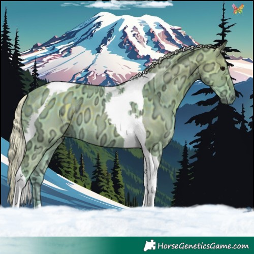 Horse Color:Watercolor Silver Black Ice Tobiano