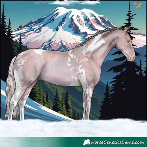 Horse Color:Watercolor Silver Classic Champagne Tobiano 